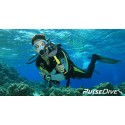 Detector Pulsedive SCUBA + Pinpoínter