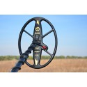 Plato MARS MD TIGER 32x24 cm para FISHER F75